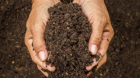 5 Ways To Enrich Garden Soil Oversixty