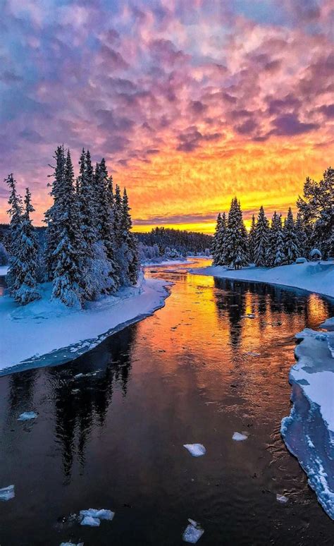 Beautiful Winter Landscape In Norway