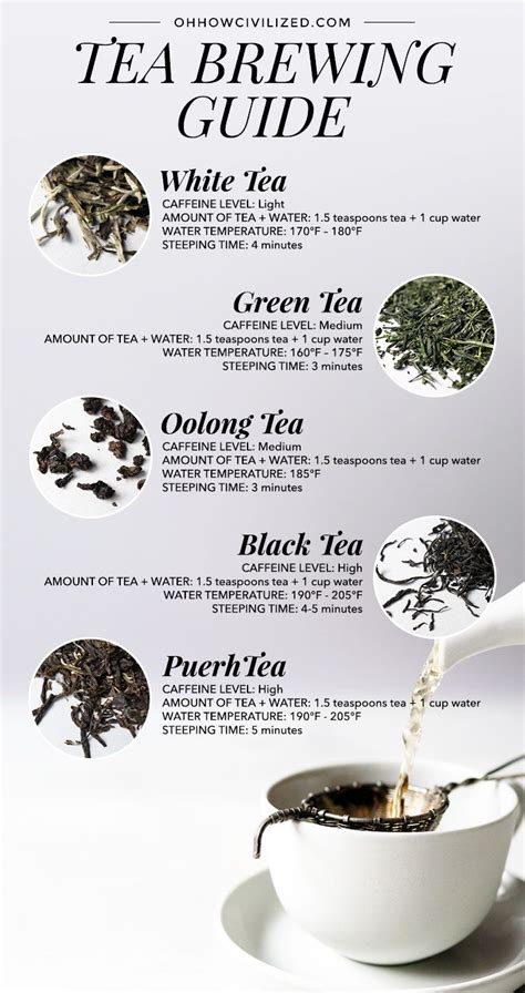 Tea Brewing Guide In 2023 Brewing Tea Cocoa Tea Tea