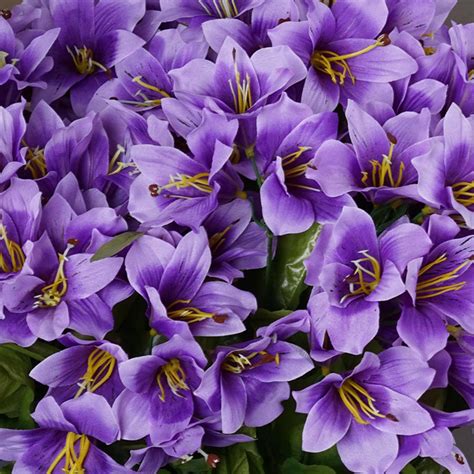 Lavender Dark Purple Flowers Flower Of Purple ️ Likes