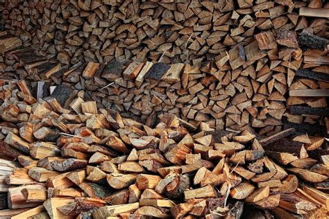 Dry Firewood Stock Image Colourbox