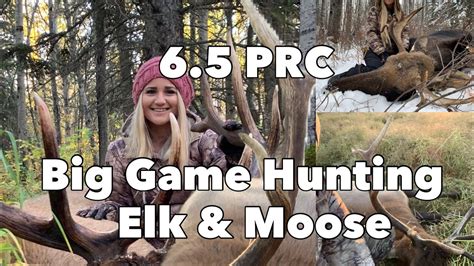 Can A 65 Prc Kill An Elk All Answers