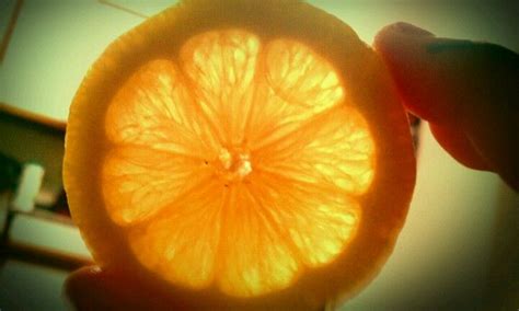 Veins In A Lemon Slice Lemon Slice Veins Fruit Orange