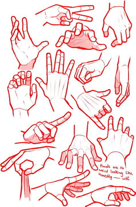 Kadabura Hand Drawing Reference Art Reference Drawing Reference