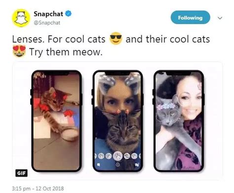 The New Snapchat Filter For Cats Meaning You Can Take A Selfie Together