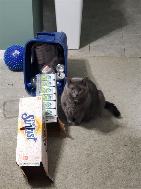 Because the fuel pumps can fail and cause engines to stall. 4Runner fuel pump recalls? | Page 2 | Toyota 4Runner Forum 4Runners.com