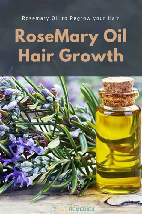 Rosemary is derived from the latin ros marinus, which means sea dew, because it is exceedingly fond of water. How to use Rosemary Oil for Hair Growth