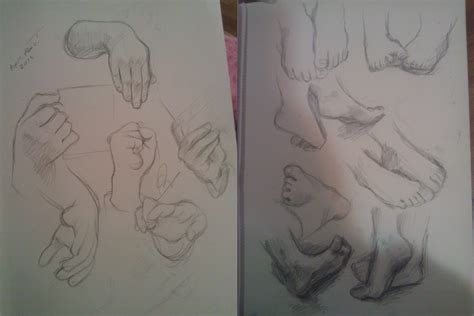 Hands And Feet Studies By Barazruth On Deviantart