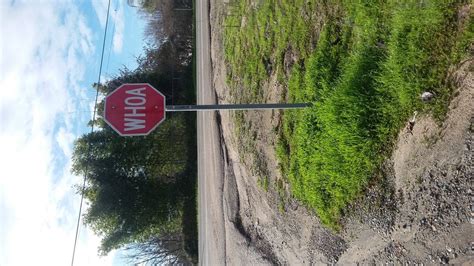 This Stop Sign That Says Whoa Mildlyinteresting