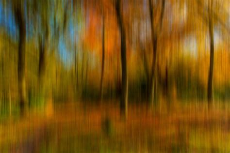 Paul Shears Autumn Abstract Macro Photography Abstract Movement
