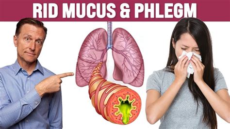 The Best Respiratory Mucus And Phlegm Remedy For Lung And Sinuses Youtube