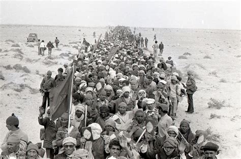 La Marcha Verde Hace 45 AÑos En Marruecos La Voz Del Árabe