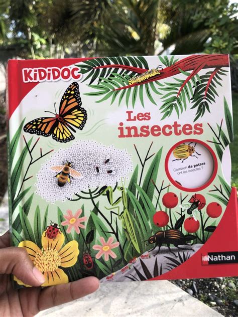 Les Insectes Un Livre Animé Pour Les Enfants Curieux Max Et Lisa