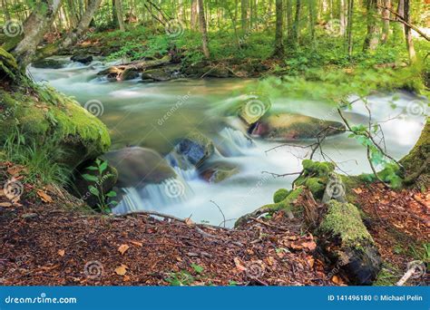 Cascade On The Forest River In Springtime Stock Photo Image Of