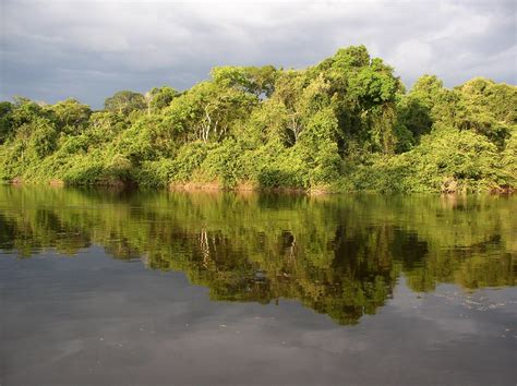 View Of Cristalino River Cristalino Jungle Lodge Mato Gro Flickr