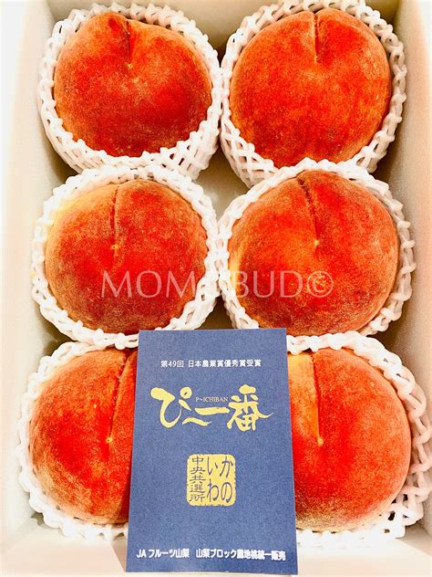 Japanese Pichiban White Peach Shingen Grade T Box 2kg — Momobud