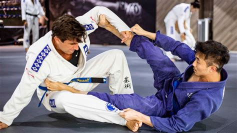 Brazilian Jiu Jitsu Brazilian Jiu Jitsu Belts Ranking System