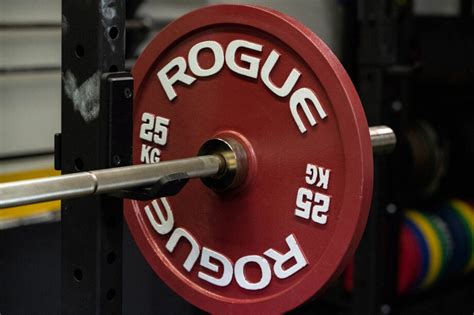 What Rogue Equipment Goes On Sale On Black Friday - 10 Reasons to/NOT to Buy Rogue Calibrated KG Steel Plates | Garage Gym