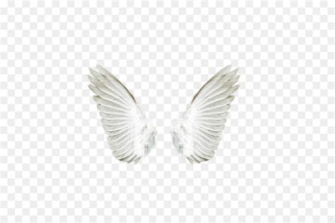 Angel Wings Png Transparent Angel Wings Tattoo Png Clip Art Library