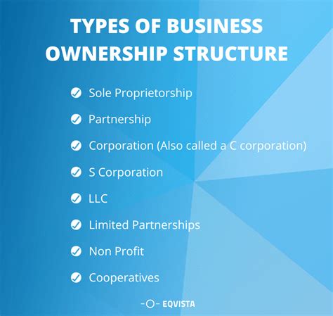 Business Structure Guide Eqvista