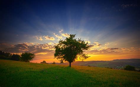 壁纸 阳光 树木 景观 日落 爬坡道 性质 天空 领域 云彩 日出 晚间 早上 太阳 地平线 黄昏 黎明