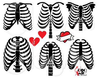 Rib cage icon colorful seamless patterns vector set. Rib Cage Vector at GetDrawings | Free download