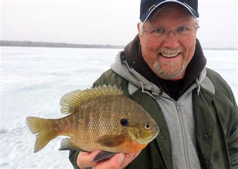 One More Time Crappies Sunfish Outdoor Minnesota Fishing Reports