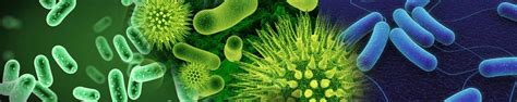 Englishview all editions and formats. Journal of Pathology & Microbiology | Austin Open Access