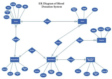 Diagram Entity Relationship Diagram For Blood Bank System Mydiagram