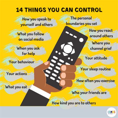 14 Things You Can Control Camhs Professionals