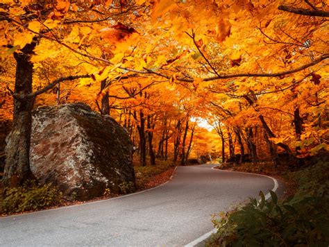 10 Best Places To See Fall Foliage Near Our Vermont Bandb