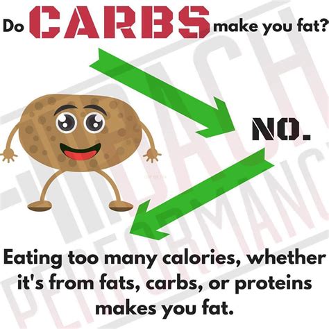 Bach Performance On Tumblr 📌 Do Carbs Make You Fat By