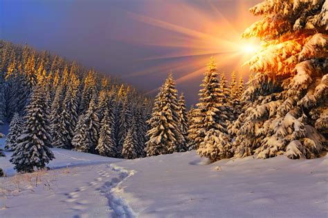 Winter Snow Landscape Nature Wallpaper 5616x3744 837602 Wallpaperup