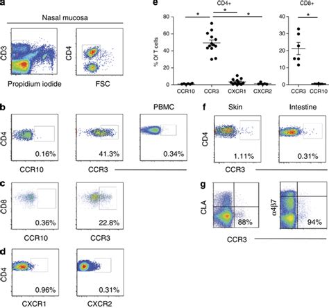 Ccr3cd4 T Cells Are Enriched In The Normal Nasal Mucosa But Not In