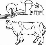 Coloring Farm Cow Drawing Pages Cartoon Color Barn Animal sketch template
