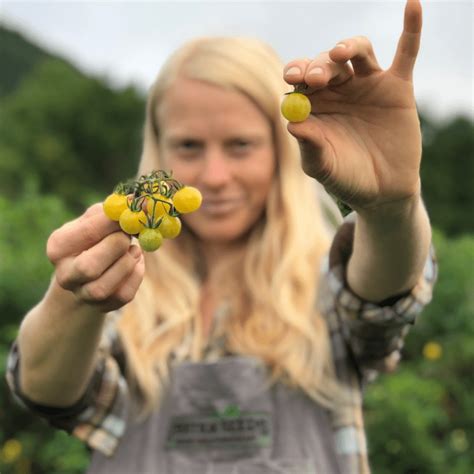 Organic Coyote Cherry Tomato Fruition Seeds