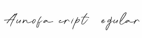 Copyright softmaker software gmbh and its licensors style: Aunofa Script DEMO Regular Font | Download for Free - FFonts