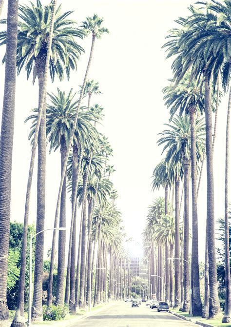 Los Angeles Neighbourhood Guides A Guide To Beverly Hills World Of