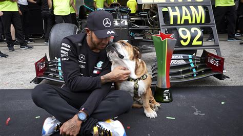 12,716 likes · 27 talking about this. Lewis Hamilton: Hund Roscoe trägt seine Mode