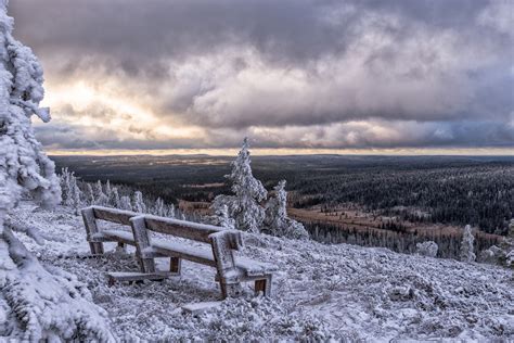 Bench Finland Sun Clouds Winter Snow Forest Wallpapers Hd
