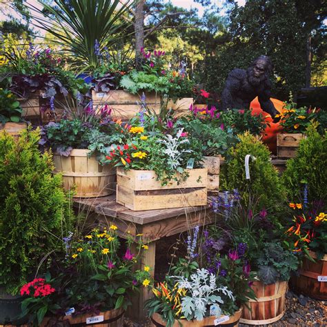 How To Create A Gorgeous Fall Combo Pot Good Earth Garden Center