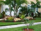 Images of Miami Pool Landscaping