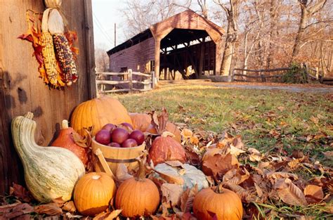 24 Reasons Fall Is Best Spent In The Country Thanksgiving Facts