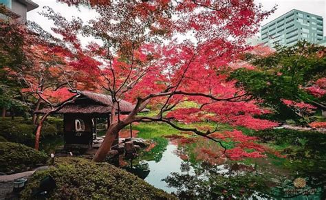 The 12 Most Stunning Gardens In Tokyo Hortense Travel