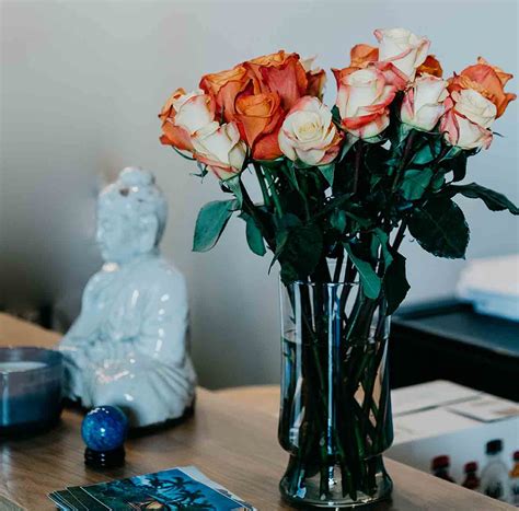 Maybe you would like to learn more about one of these? Bikram Yoga Norwalk, CT, & HIIT Pilates - YogaSol