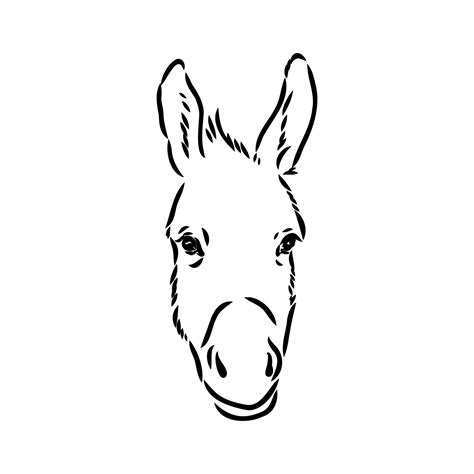 Donkey Vector Sketch 36380428 Vector Art At Vecteezy