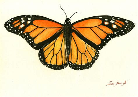 Monarch Butterfly Painting By Juan Bosco Fine Art America