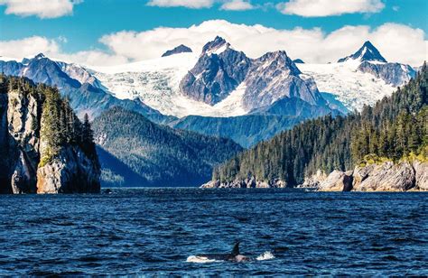 The 20 Most Beautiful Places In The Us Jetsetter Kenai Fjords