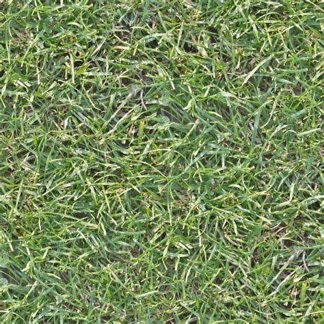 HIGH RESOLUTION TEXTURES: Seamless high res grass texture