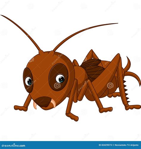 Cute Cricket Cartoon Stock Vector Illustration Of Animal 83429073